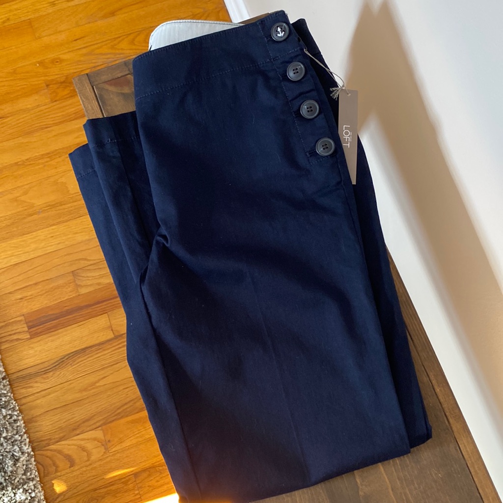 Ann Taylor Loft Julie Trouser Womens Pant